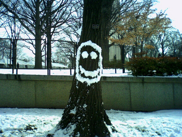 smiley face, tree, snow
