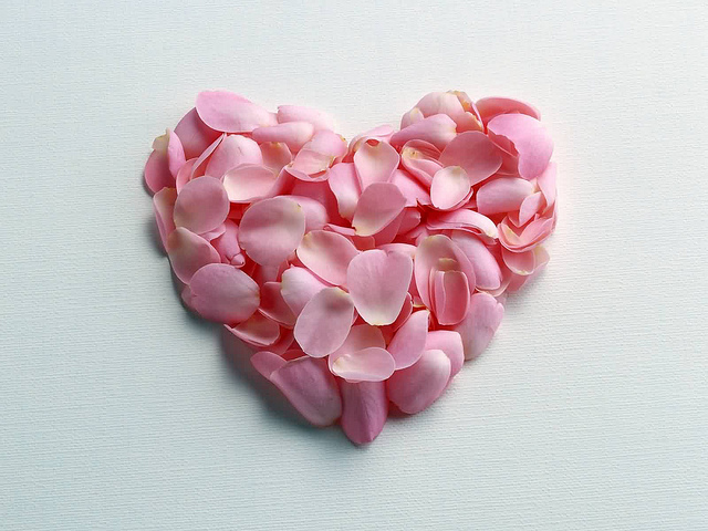 petals, love heart, pink